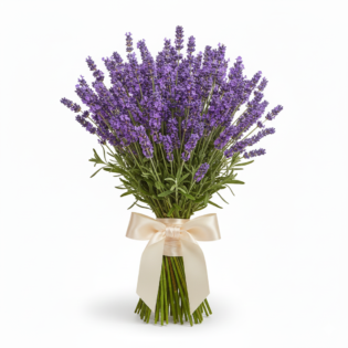 Lavender bouquet
